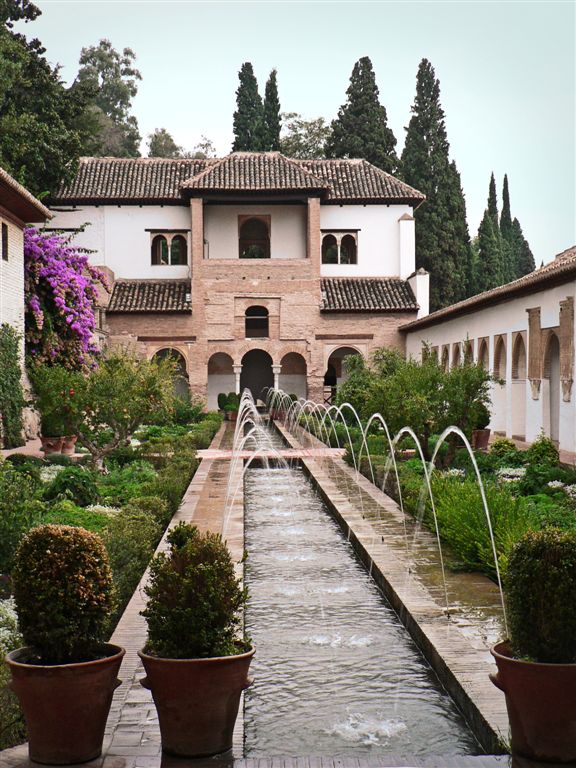 Cypress